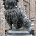Skye Terrier
