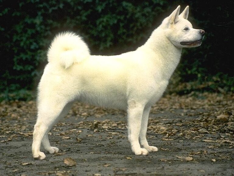 Hokkaido (Ainu)