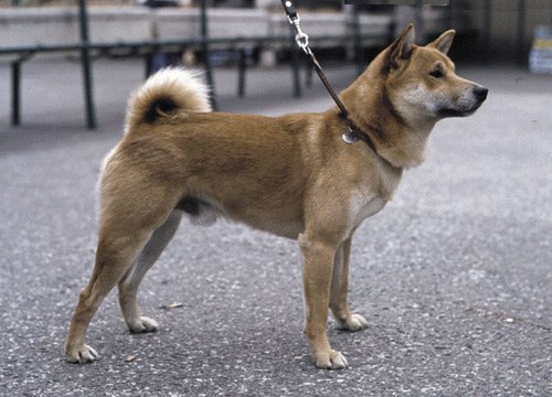 Хоккайдо (Айну)