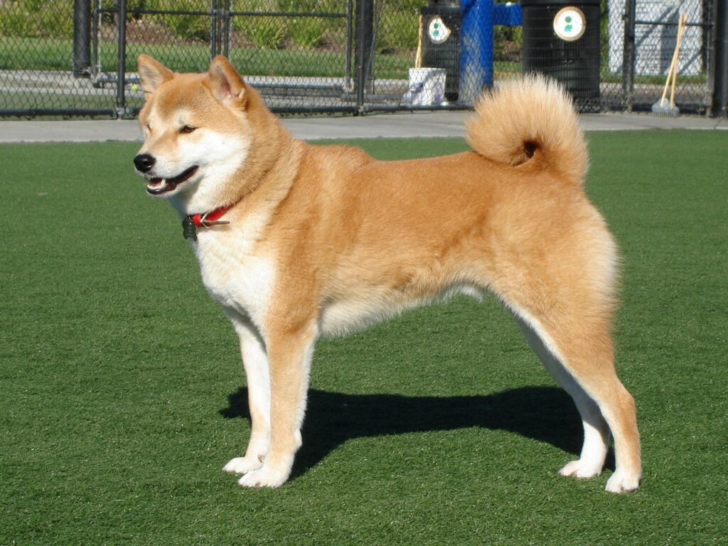 Hokkaido (Ainu)