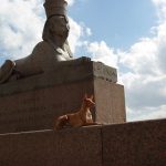 Фараоновий собака