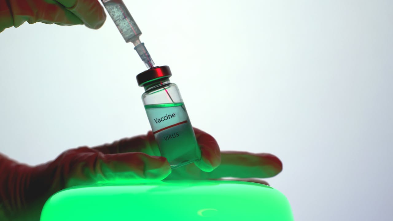 Calendrier de vaccination du chien : quels vaccins sont obligatoires et quand