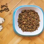 Wie man Hundefutter-Etiketten liest: Zusammensetzung und Inhaltsstoffe verstehen