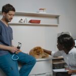 Program de vaccinare pentru câini: care vaccinuri sunt obligatorii și când să le faci?