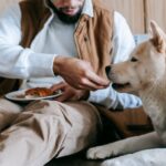 Gefährliche Lebensmittel: Liste von Produkten, die Hunden auf keinen Fall gegeben werden dürfen