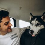 Поиск pet-friendly жилья: Советы по аренде и путешествиям с животными