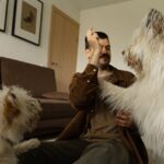 Food aggression in dogs: Why does it happen and how can you safely fix it?