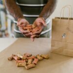 Les chiens peuvent-ils manger de la nourriture pour chats et les chats – de la nourriture pour chiens ? Explication du vétérinaire