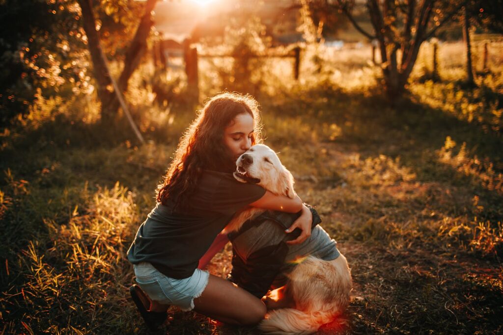 Un chien regarde tristement par la fenêtre
