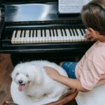 L’influence de la musique sur les animaux : Quelles mélodies apaisent et lesquelles peuvent provoquer du stress?