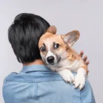 Understanding Body Language: Decoding 7 Stress and Calming Signals in Dogs