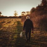Comment choisir la race de chien adaptée à votre climat ?