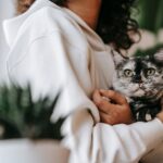 Felinotherapie (Katzentherapie): Warum beruhigt Schnurren und wie beeinflusst eine Katze die mentale Gesundheit des Menschen?