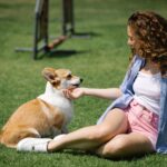 Top 5 commandes que tout chien bien éduqué doit connaître