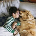 Chien nounou : Quelles races s’entendent le mieux avec des enfants de différents âges ?