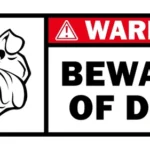 Gardiens inébranlables : Cane Corso, Doberman, Rottweiler, Bergers, Schnauzer géant