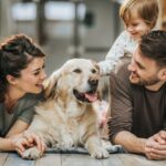 Races de chiens qui deviennent populaires en 2026 : Qui remplacera le leadership des labradors ?