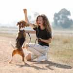 Comment ne pas en faire trop : Les signes que vous demandez trop à votre chien