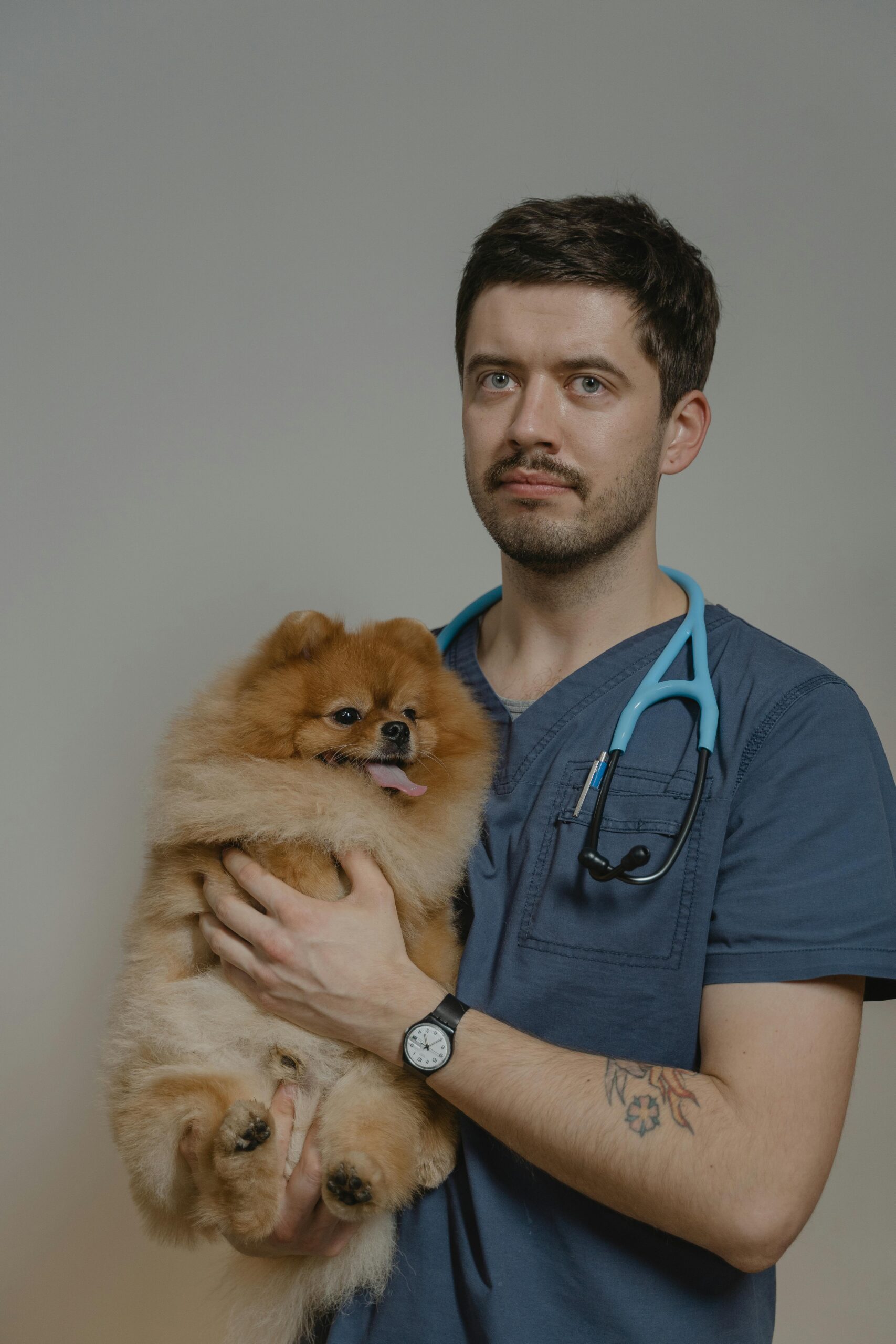 A veterinarian examining a small puppy in a clinic