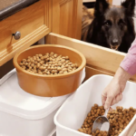 Croquettes sans céréales pour chiens : pur marketing ou vrai bénéfice ?