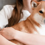 Fatale Fehler: 5 Dinge, die neue Tierbesitzer niemals tun sollten
