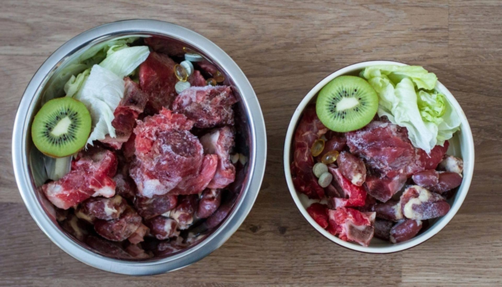 Bol d'alimentation crue BARF pour chien avec viande et légumes